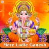 About Mere Ladle Ganesh Song